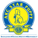 akc star puppy